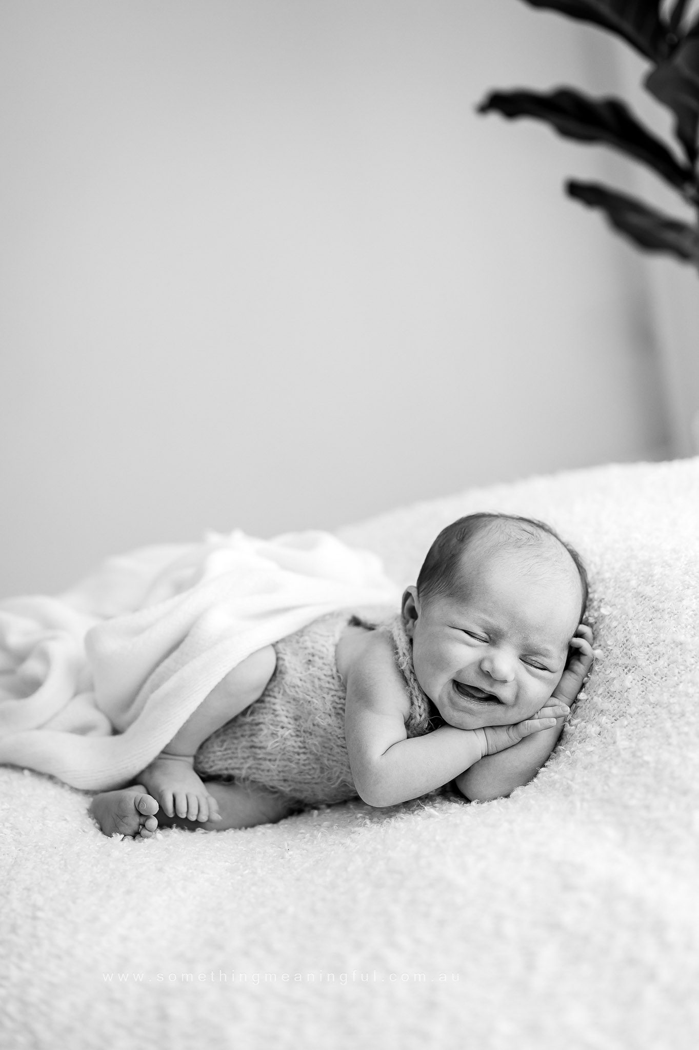 newborn photography without props